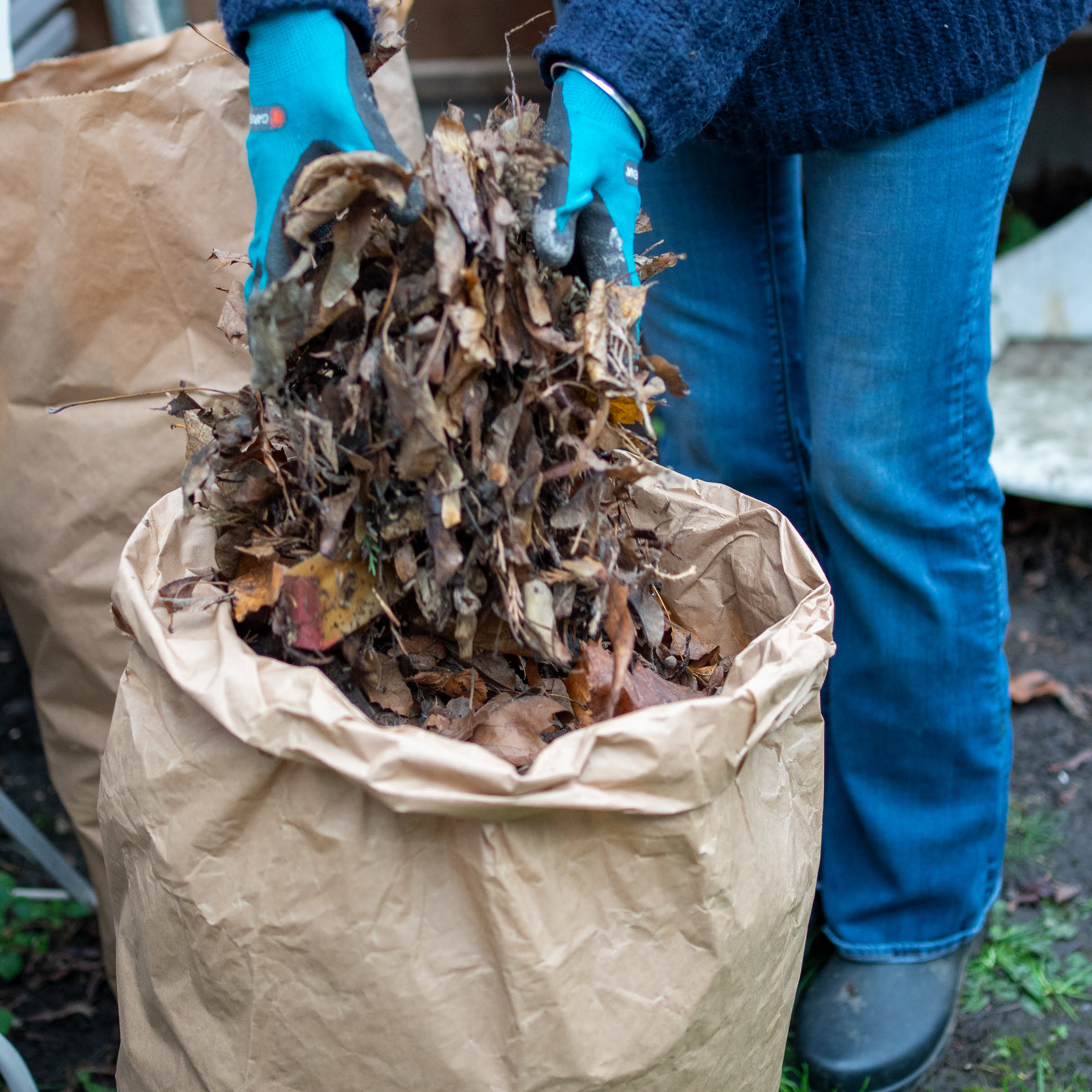 https://www.greenerlyfe.com/wp-content/uploads/2021/09/Biodegradable-Garden-Waste-Bags-2.jpg