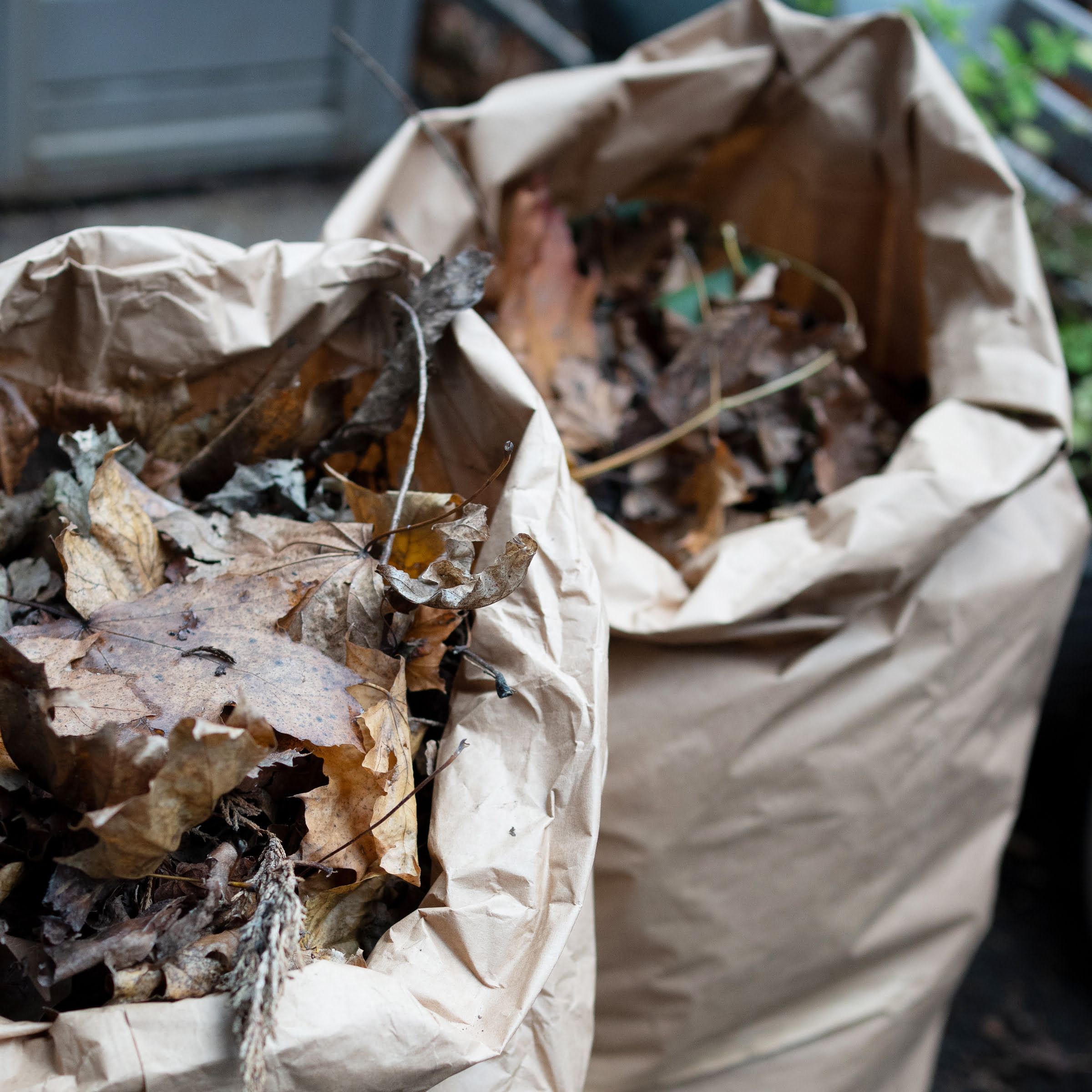 St Helens Pop Up Garden Waste Bags